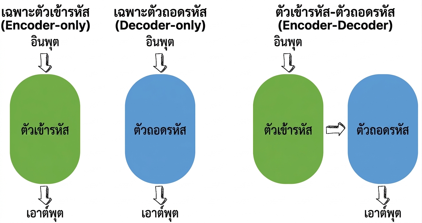 ภาพประกอบสถาปัตยกรรม transformer สามแบบ: encoder-only, decoder-only และ encoder-decoder