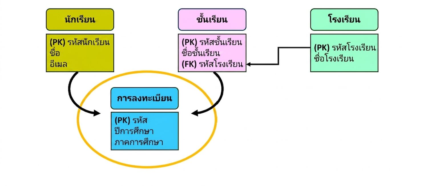 โมเดลธีมวิทยาลัย Entity ใหม่ enrollments
