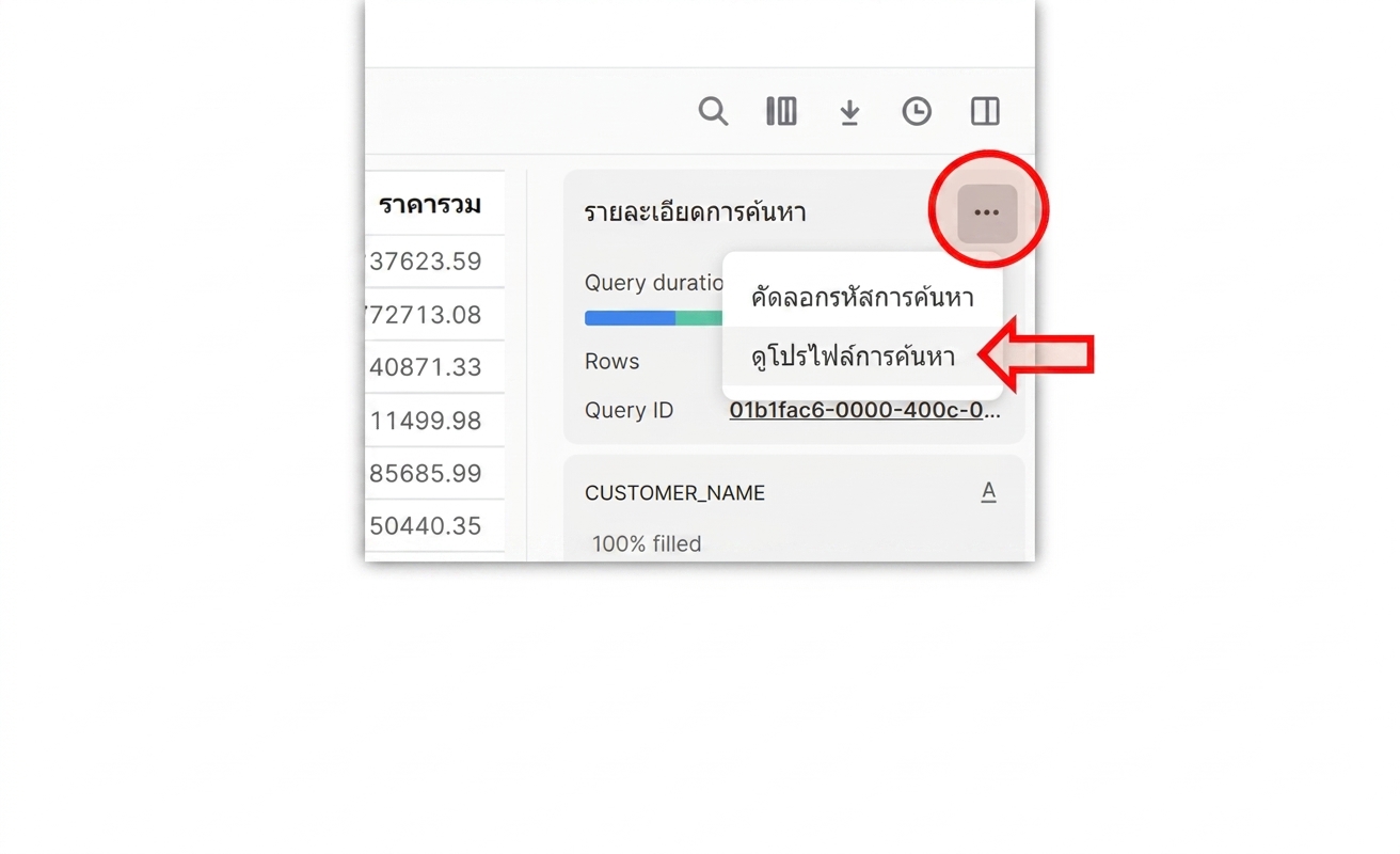 คำแนะนำการดู query profile