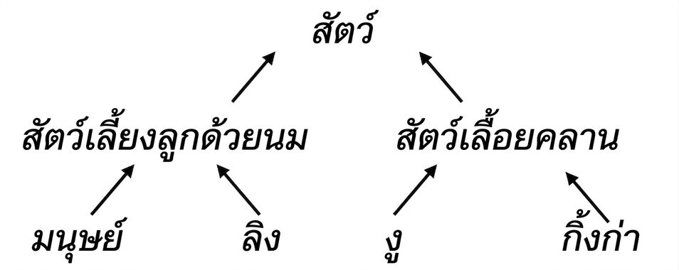 ต้นไม้ลำดับชั้นของสัตว์