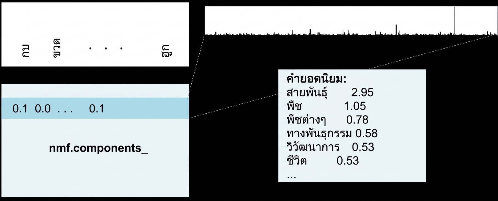 กล่องแสดงคำที่มีค่าสูงสุด: species 2.95, plant 1.05, plants 0.78 เป็นต้น