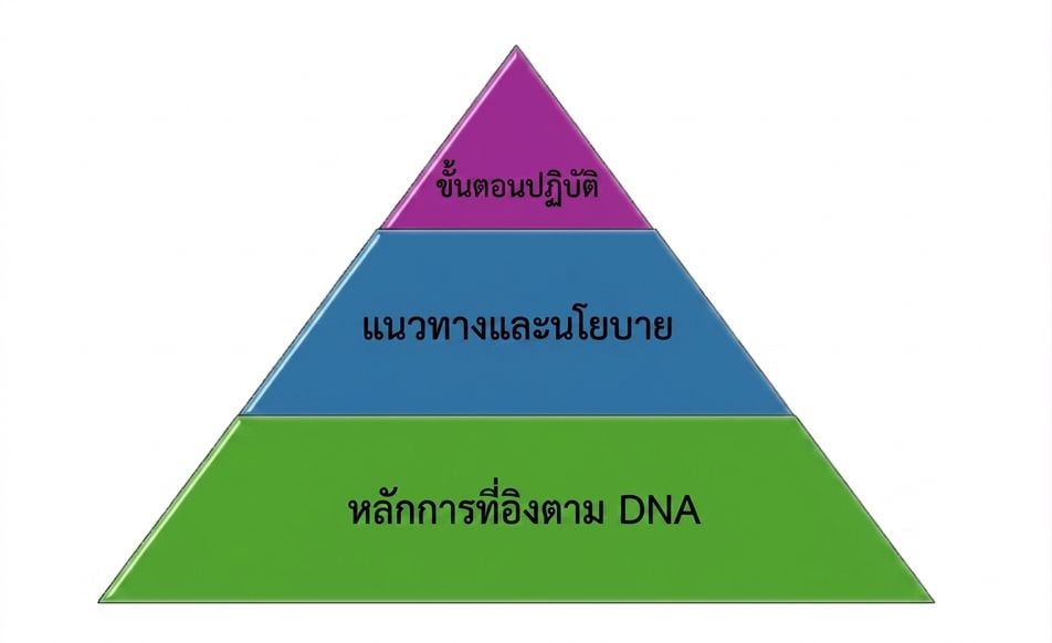 ภาพพีระมิด 3 ชั้น