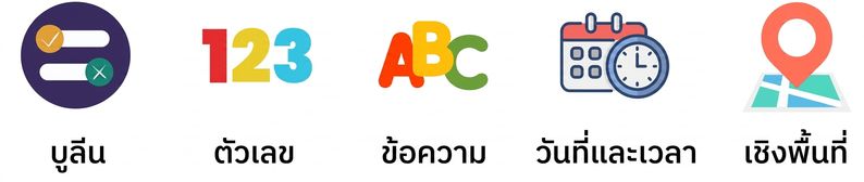 ภาพประเภทข้อมูลที่แสดง Boolean และ Numeric