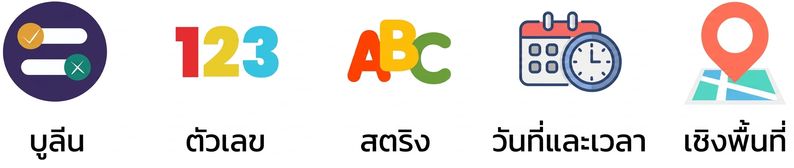 ภาพประเภทข้อมูลที่แสดง Boolean, Numeric, String และ DateTime