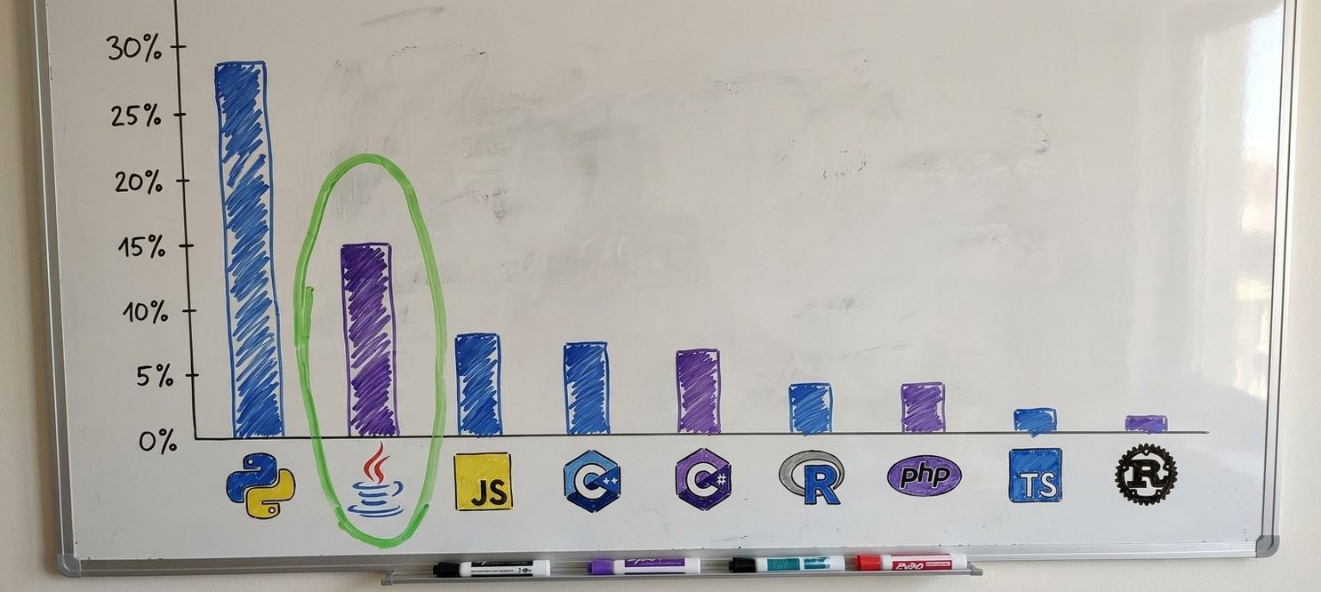 Bar plot showing Java was the second most popular programming language in 2024.jpg