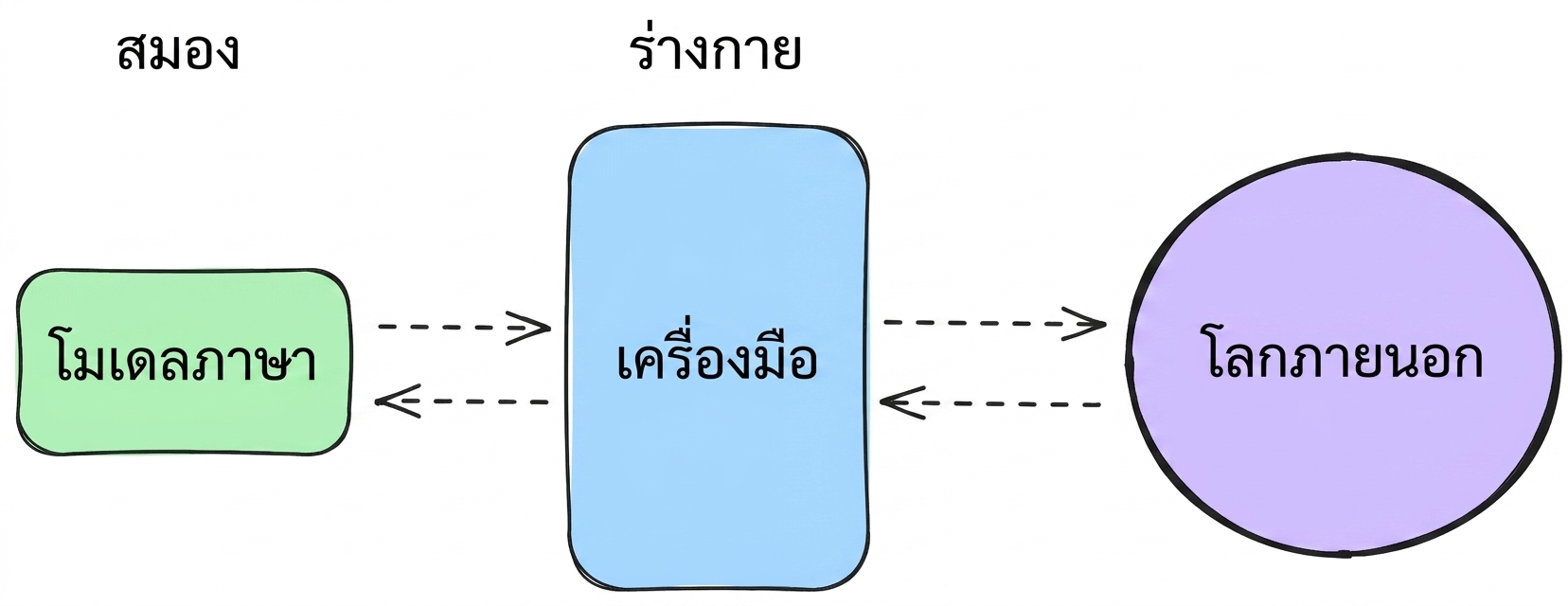 สมองและร่างกาย