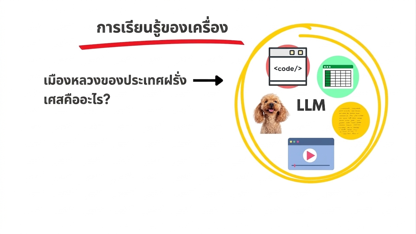 llms7.jpg