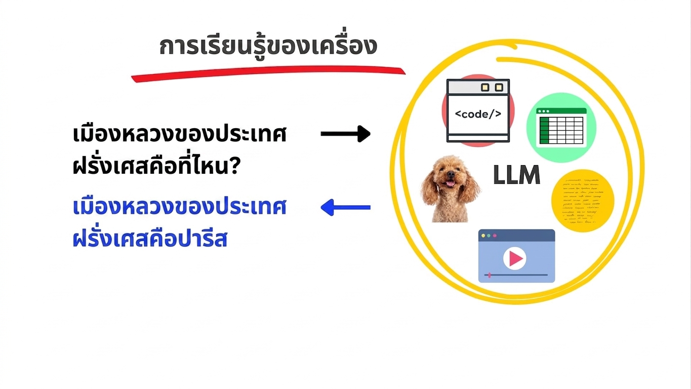 llms8.jpg