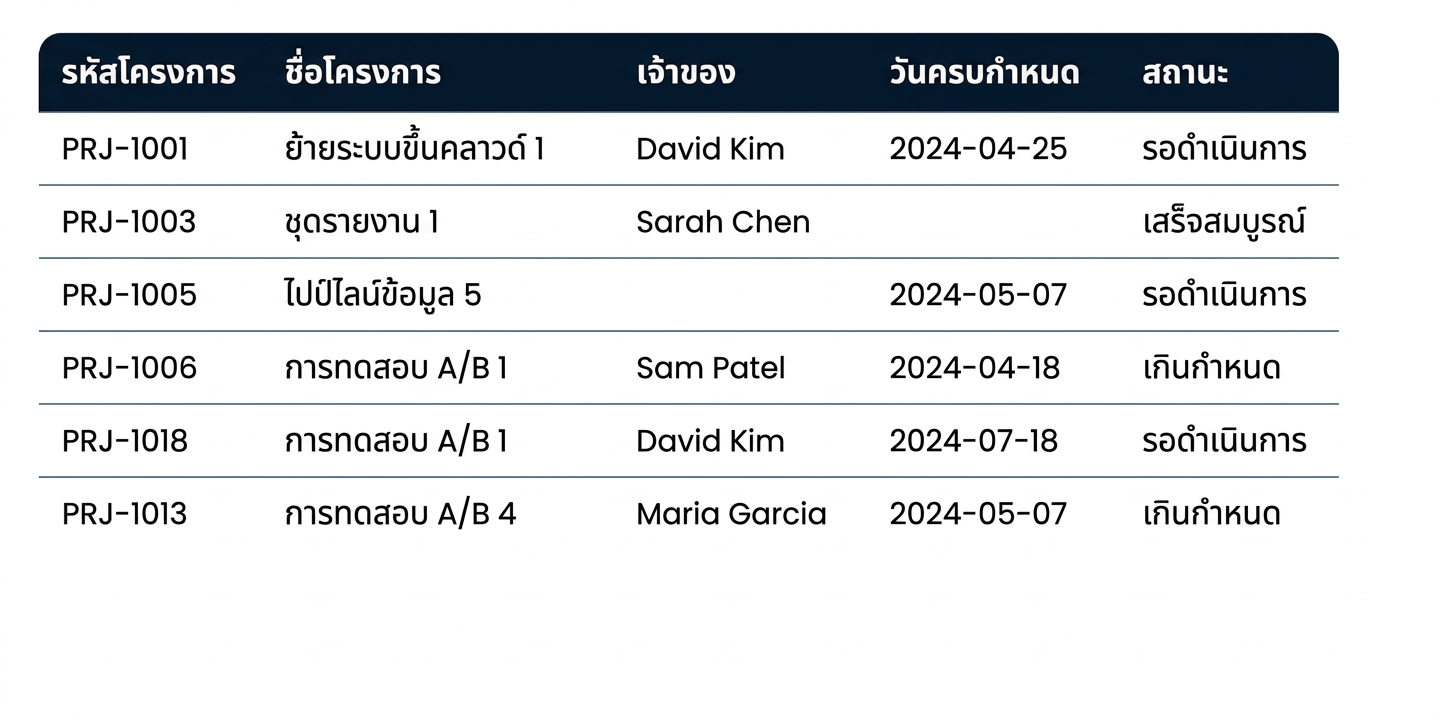 ตาราง Projects ที่มีเซลล์ว่าง ชื่อโปรเจกต์ซ้ำ และแถวที่เกินกำหนดสองแถว
