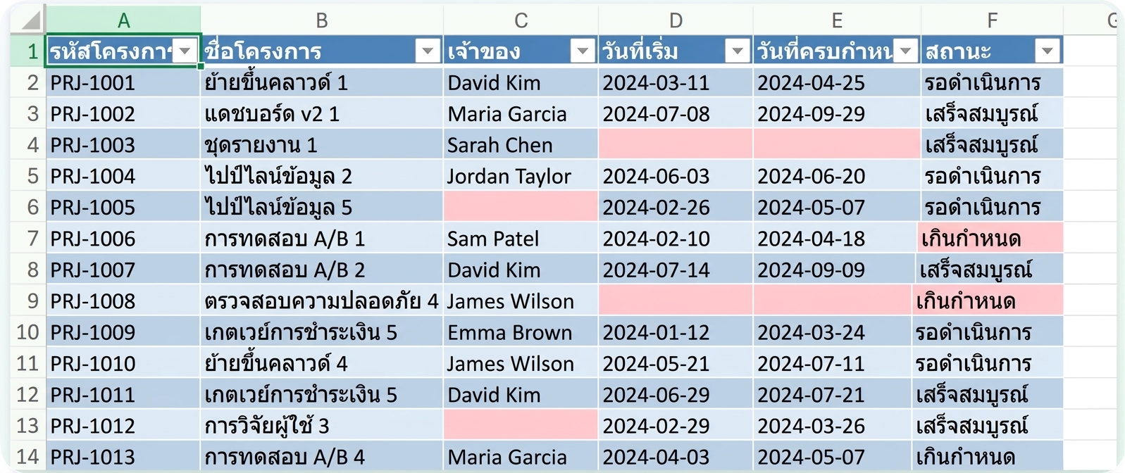 เซลล์ว่างถูกเน้นด้วยสีแดงจากกฎ conditional formatting ของ Copilot