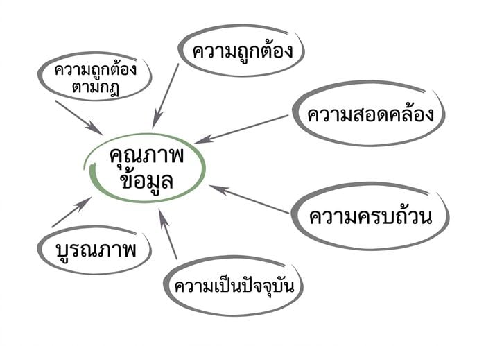 แผนภาพแสดงคุณภาพข้อมูลอยู่ตรงกลาง โดยมีความสมเหตุสมผล ความถูกต้อง ความสอดคล้อง ความครบถ้วน ความทันเวลา และความสมบูรณ์ชี้เข้าหากัน