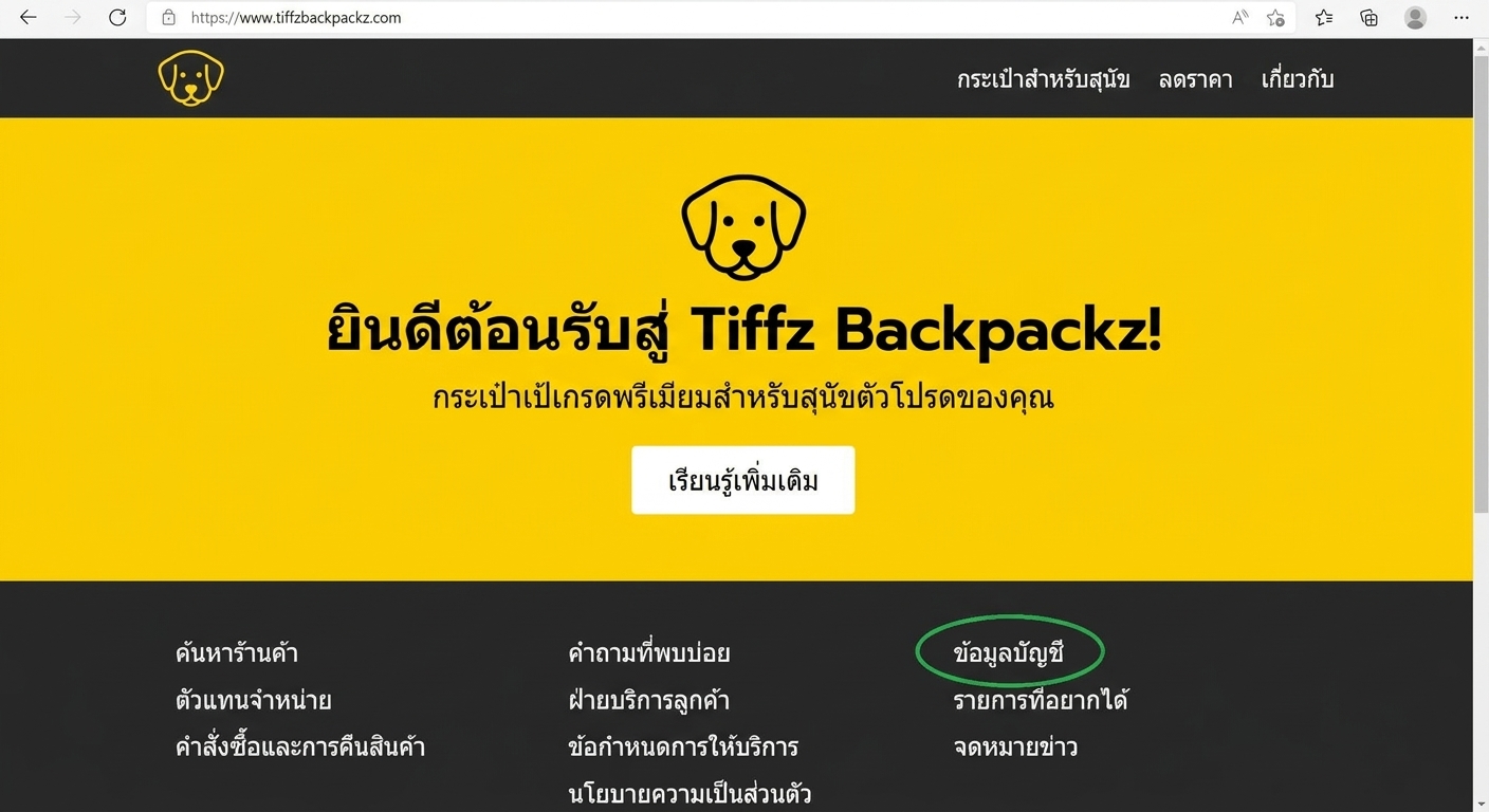 ข้อมูลบัญชีบน Landing Page ของ Tiffz Backpackz
