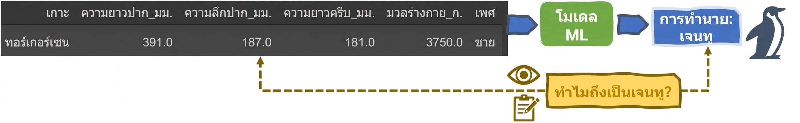 Explainability ในตัวแบบจำแนกเพนกวิน ML