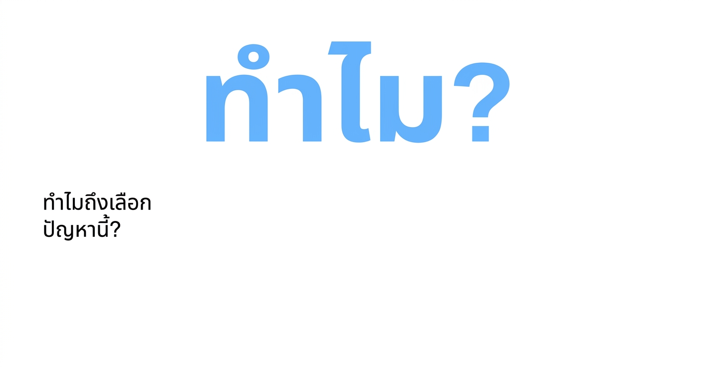 ทำไมถึงเลือกปัญหานี้?