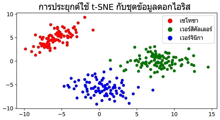 scatter plot ของ t-SNE ที่ใช้กับชุดข้อมูล Iris