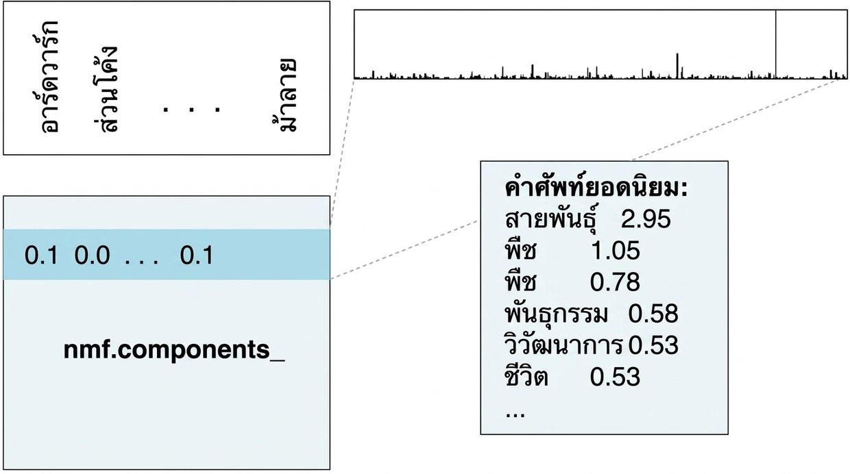 กล่องแสดงคำที่มีค่าสูงสุด: species 2.95, plant 1.05, plants 0.78 เป็นต้น