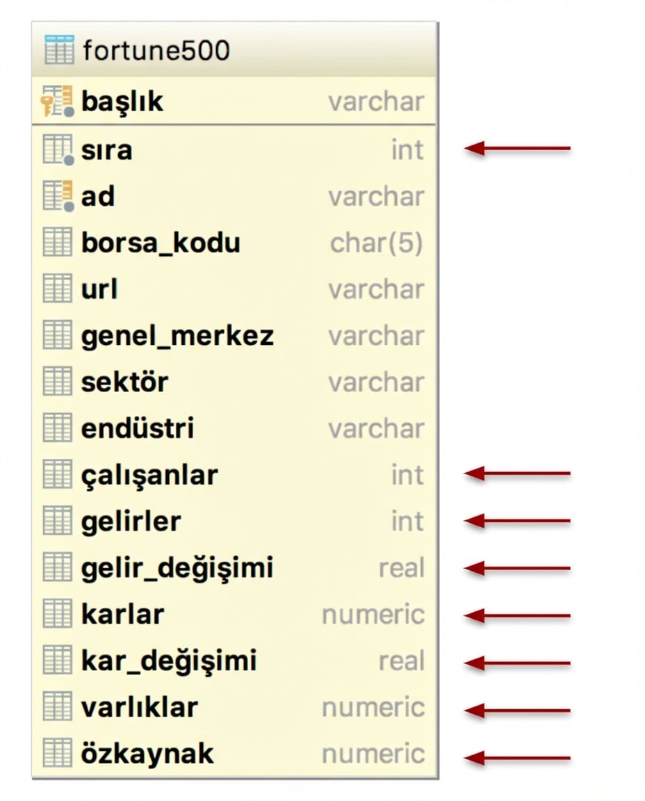 Fortune 500 veritabanı tablosu