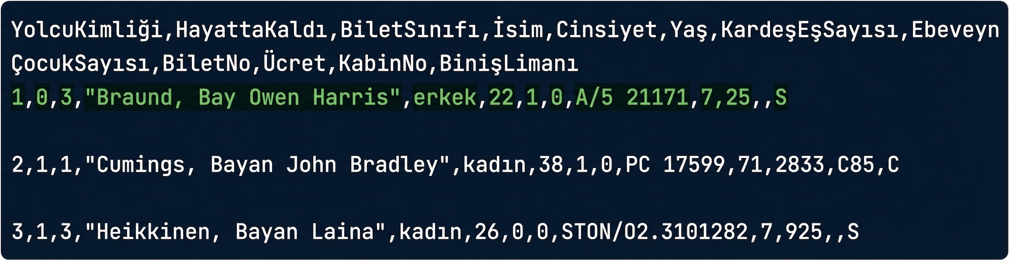 vurgulanmış bir satırla titanic.csv