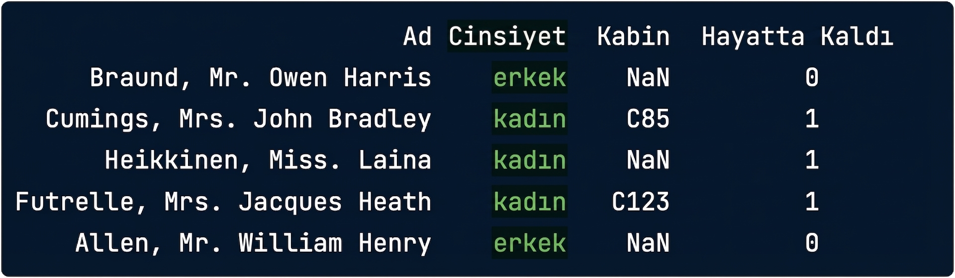 vurgulanmış bir sütunla titanic.csv