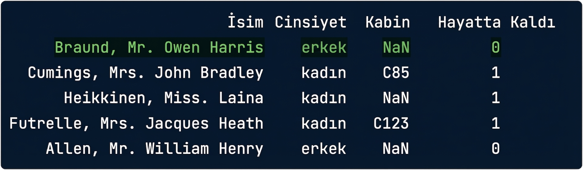 vurgulanmış bir satırla titanic.csv