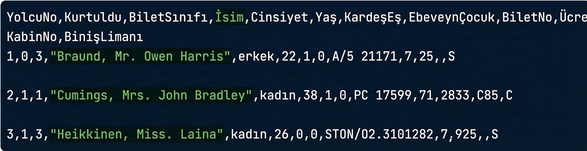 vurgulanmış bir sütunla titanic.csv
