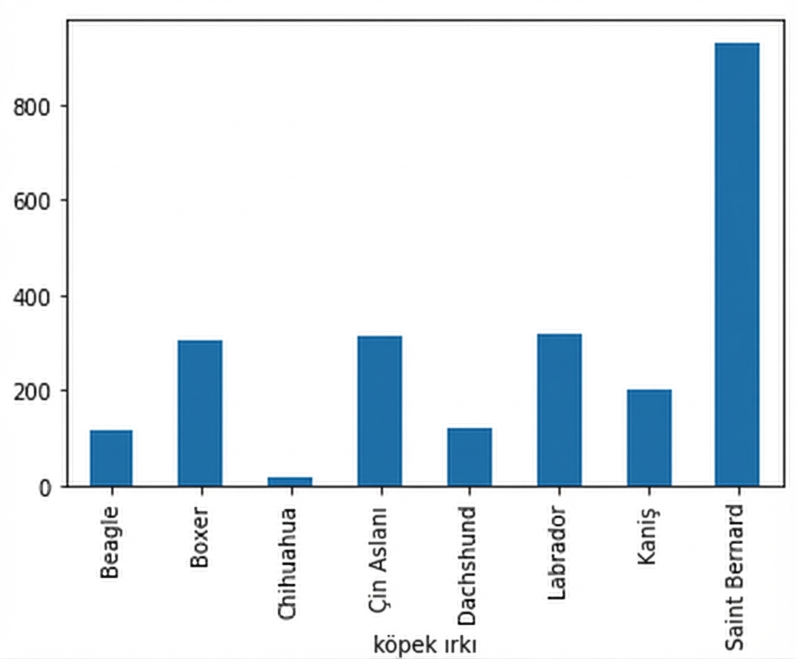 Irka göre ortalama köpek ağırlıklarının (kg) çubuk grafiği. St. Bernard en ağır, chihuahua en hafif.
