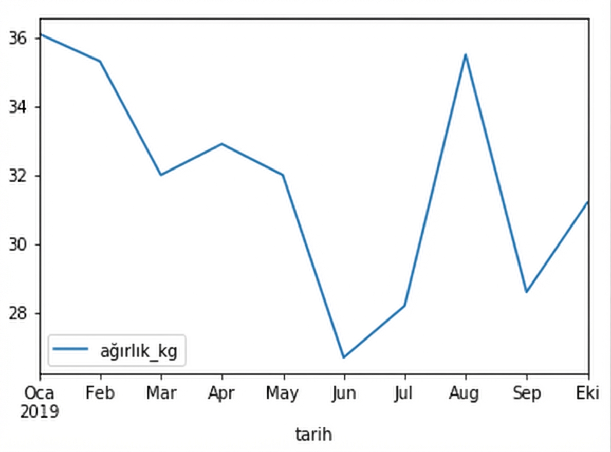 Zaman içinde Sully adlı bir köpeğin ağırlığını gösteren çizgi grafiği. Ağırlık 27 ile 36 kilogram arasında dalgalanır.