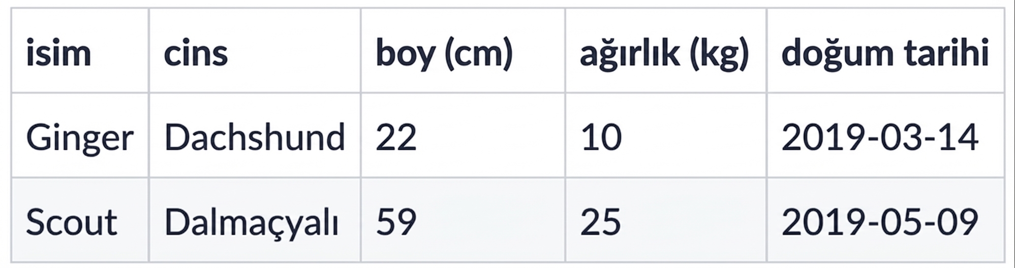 İki yeni köpek içeren veri kümesi