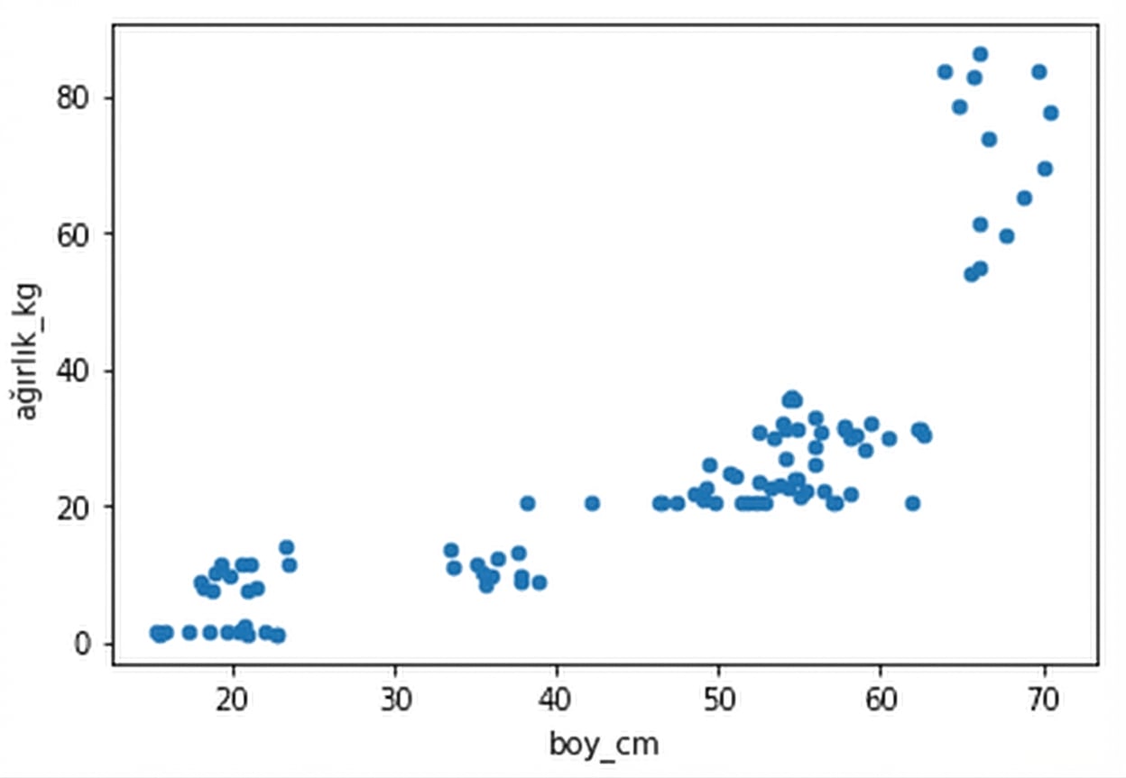 Köpek ağırlıkları ile yüksekliklerinin saçılım grafiği. Yükseklik arttıkça ağırlık da artar. Bazı kümeler var. Bunlar ırklara karşılık geliyor olabilir.
