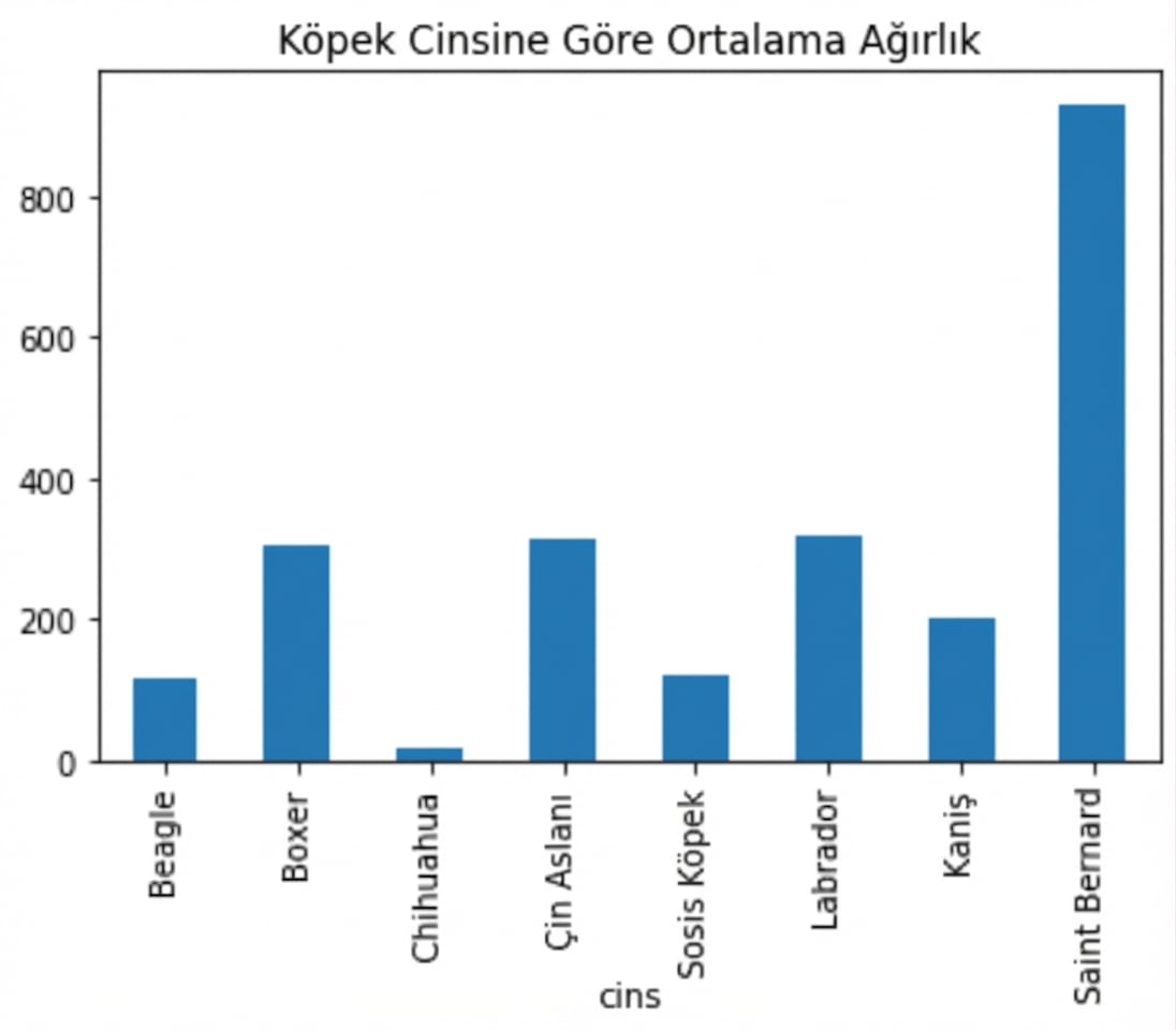 Ekranın solundakiyle aynı çubuk grafik, ancak başlık eklenmiş: "Mean Weight by Dog Breed."