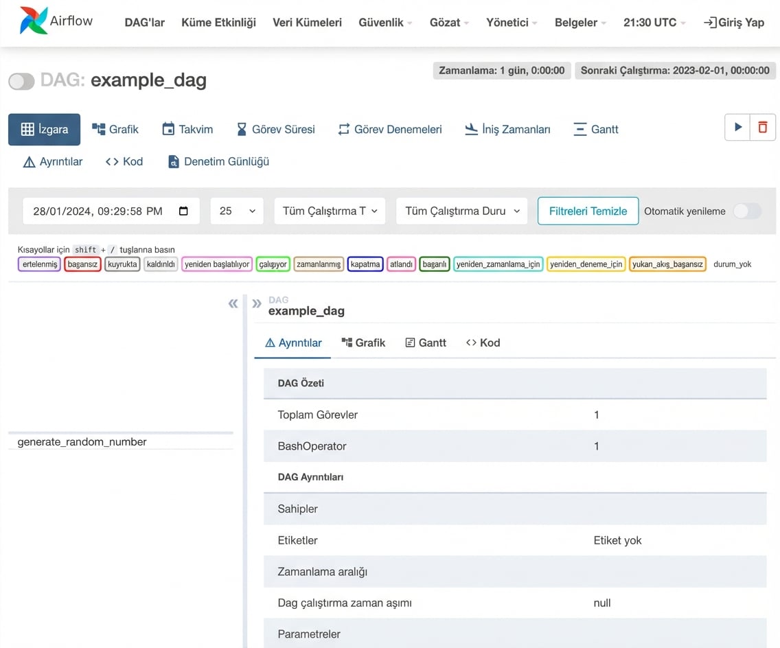 Airflow DAG ayrıntı görünümü