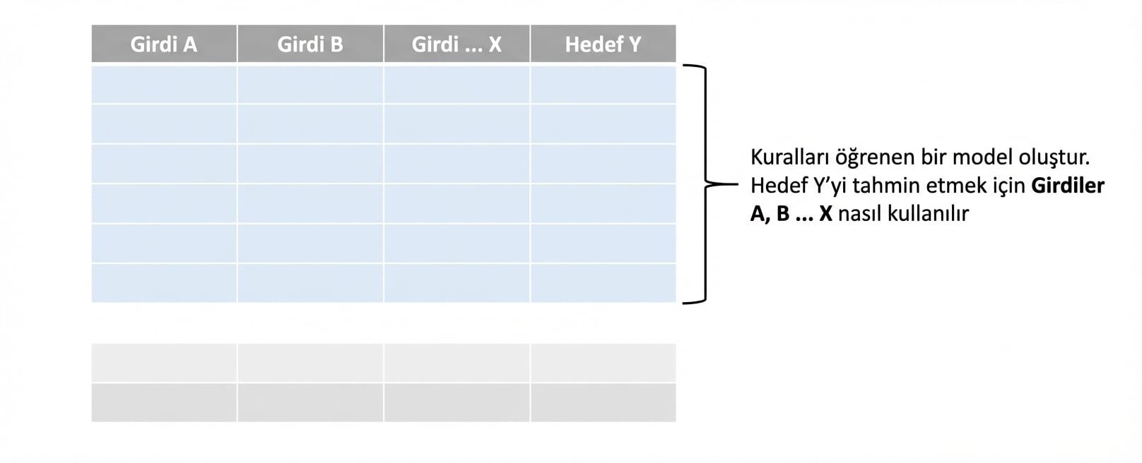 model eğitimi başlangıcı