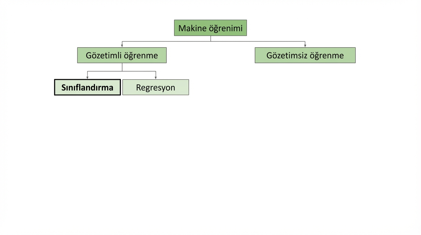 sınıflandırma vurgulanmış
