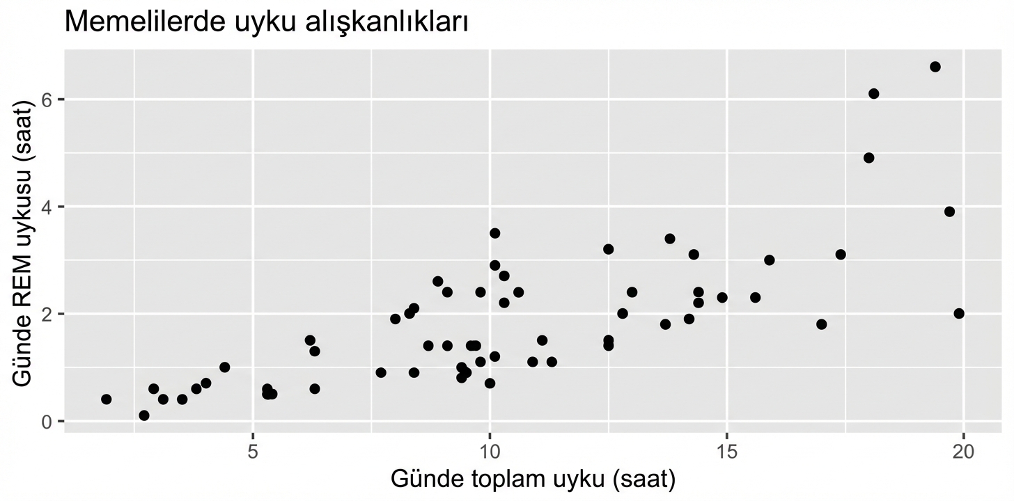 Memelilerin uyku alışkanlıklarının saçılım grafiği: günde toplam uyku vs günde REM uykusu