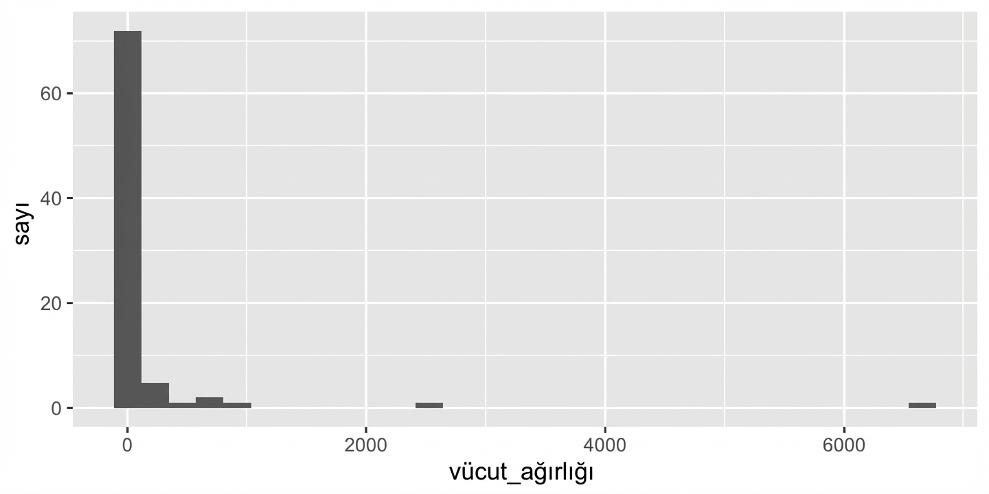 bodywt değişkeninin histogramı