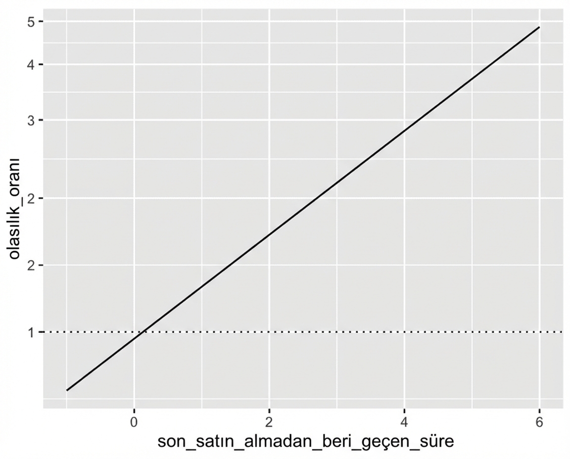 Son satın alımdan beri geçen süreye karşı oran grafiği, oran=1 çizgisiyle. Y ekseni logaritmik; oran eğrisi doğrusal görünür.