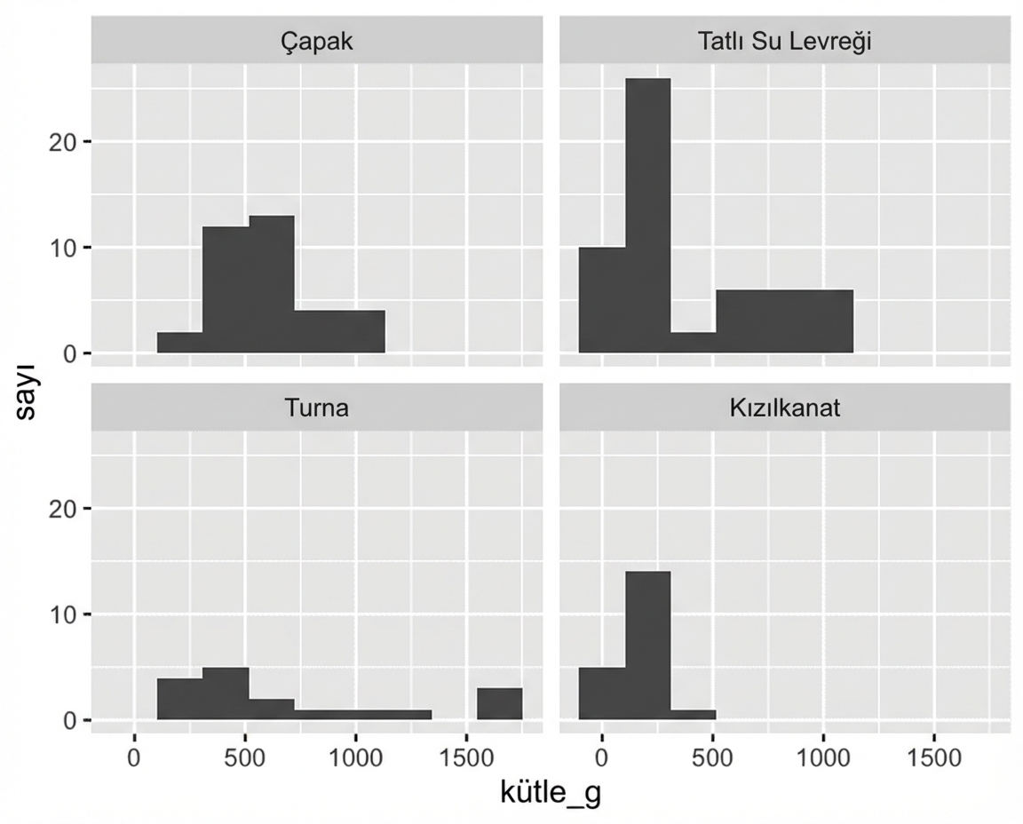 Balık sayıları ile ağırlıkları arasındaki ilişkide çok panelli histogram. Her panel bir tür içerir: bream, perch, pike veya roach.