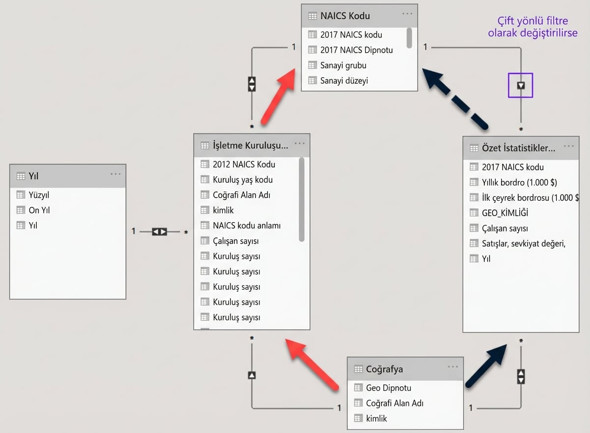 İki tablo arasında iki ayrı yol gösteren Power BI veri modeli.