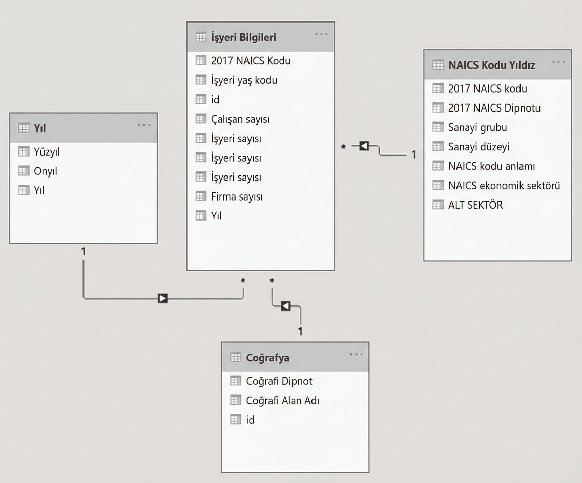 bir veri modelinin genel görünümü