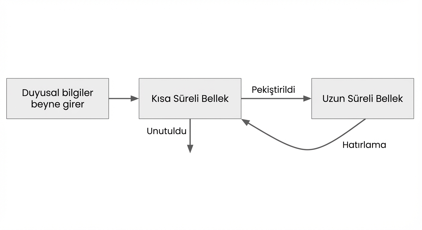 Kısa süreli bellek nasıl çalışır