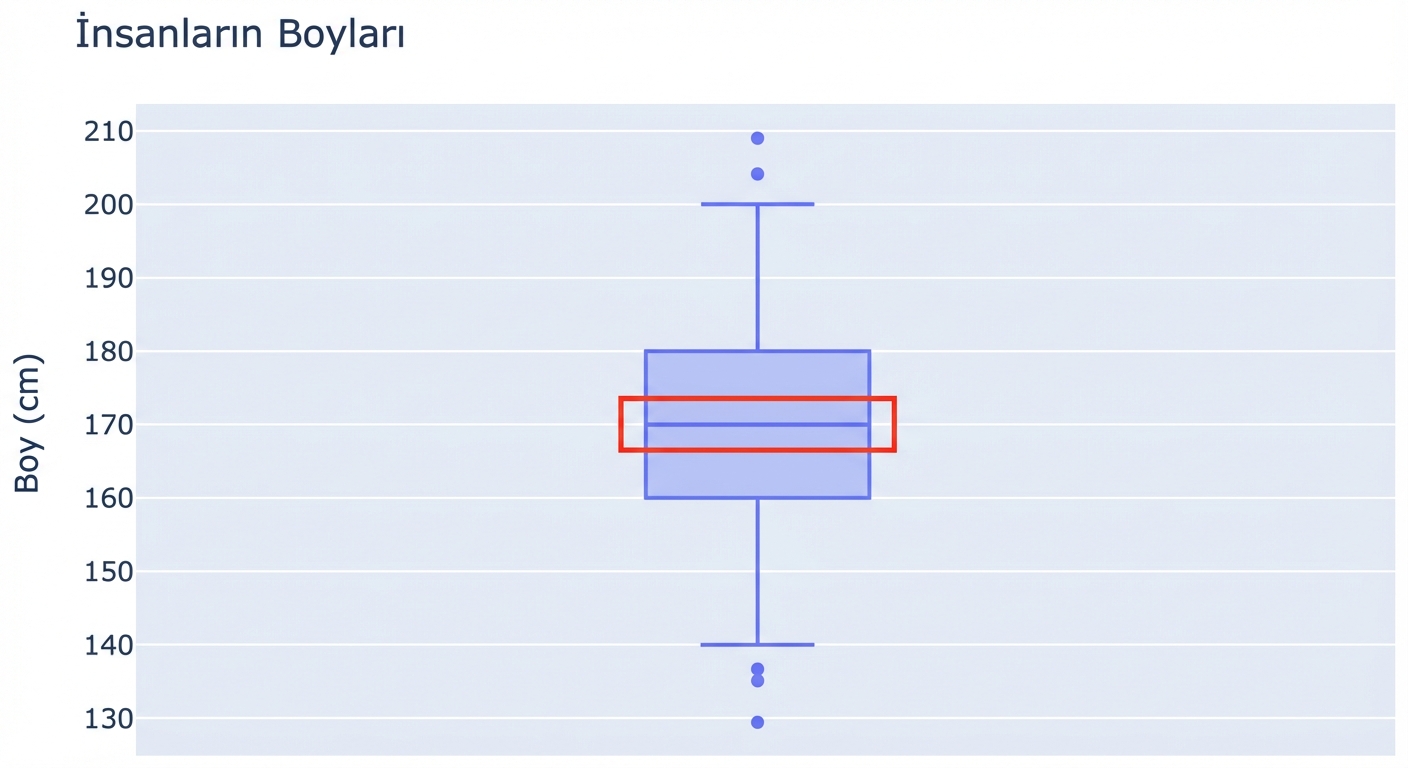 Bir kutu grafikte insanların boyları. Santimetre cinsinden boylar y ekseninde. Kutu grafiğin ortasındaki çizgi (medyan) kırmızıyla vurgulanmış.