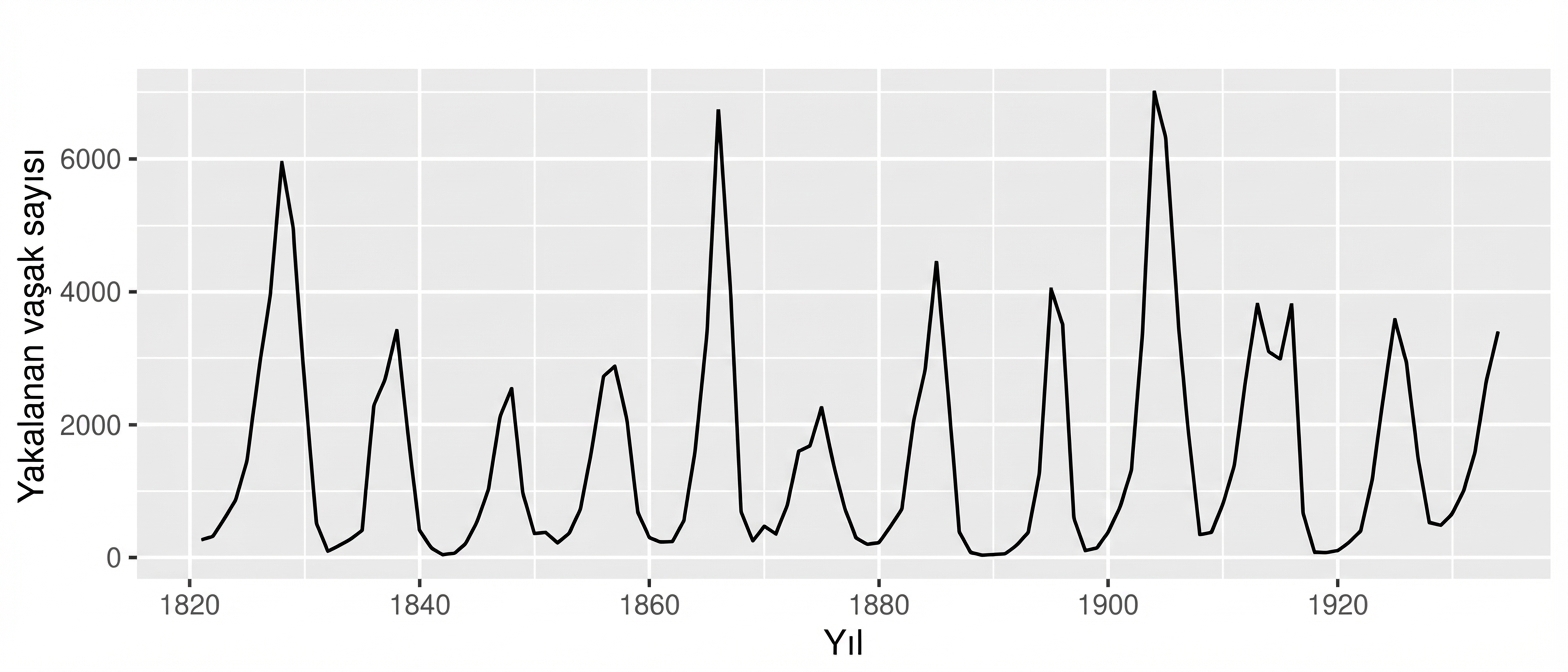 Veride tekrar eden yükseliş ve düşüşleri gösteren bir zaman serisi çizgi grafiği.