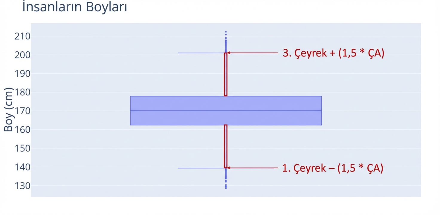 Bir kutu grafikte insanların boyları. Santimetre cinsinden boylar y ekseninde. Kutunun üst ve altından uzanan dikey bıyıklar kırmızıyla vurgulanmış.