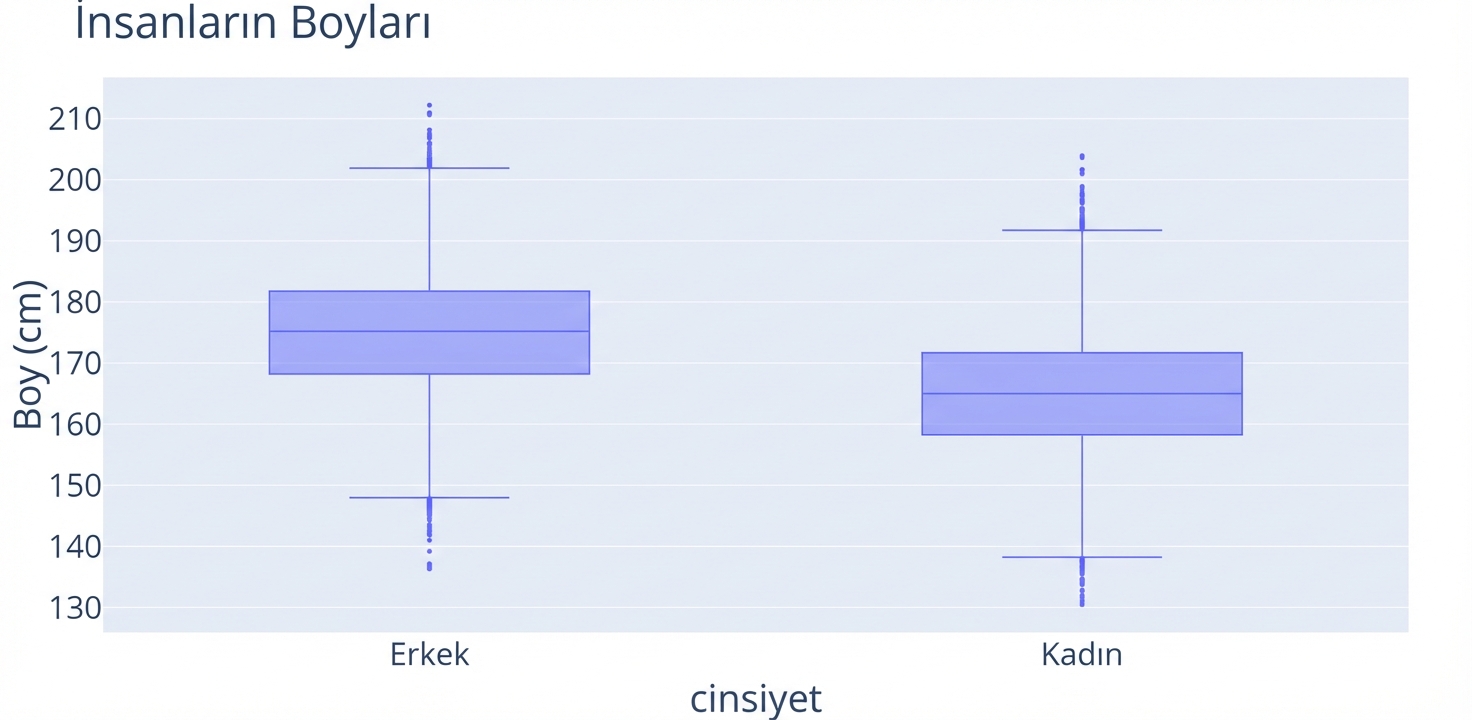 İki kutu grafik: biri erkek, diğeri kadın için; her gruptaki boy dağılımını gösteriyor. Boyutları eşit, ancak “erkek” kutu grafiği y ekseninde daha yukarıda.