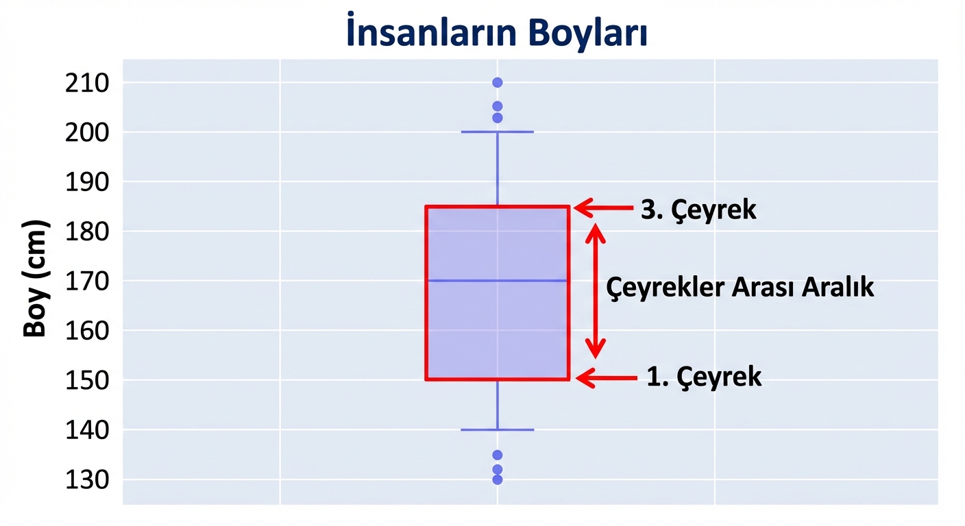 Bir kutu grafikte insanların boyları. Santimetre cinsinden boylar y ekseninde. Kutu grafikteki “kutu” kırmızıyla vurgulanmış.