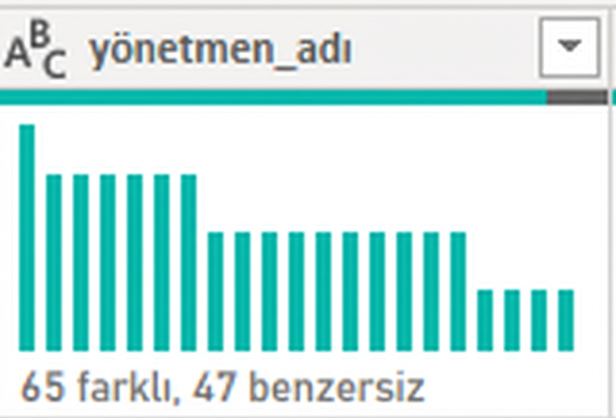 Sütun dağılımı özelliğinin çıktısını gösteren bir ekran görüntüsü.