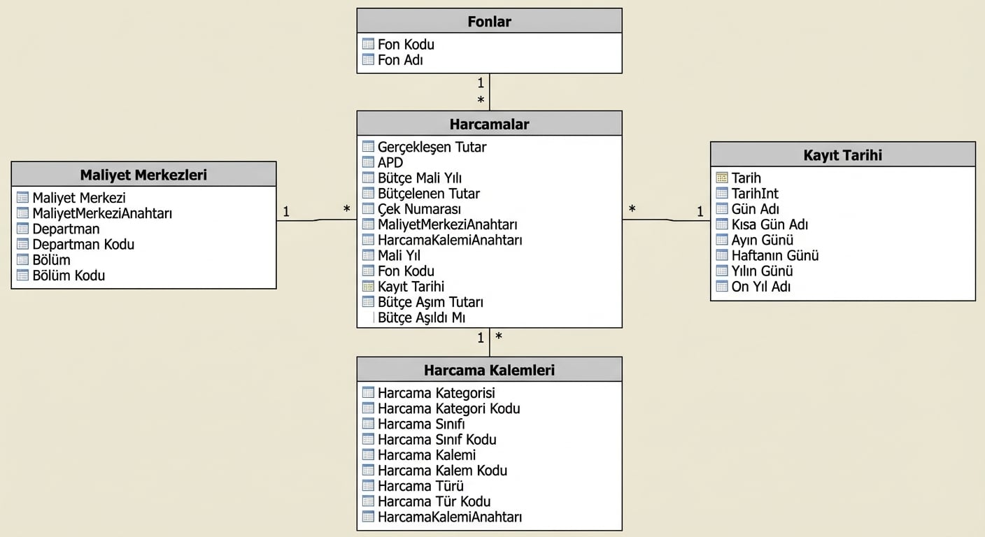 Wake County bütçe denetçisi verileri