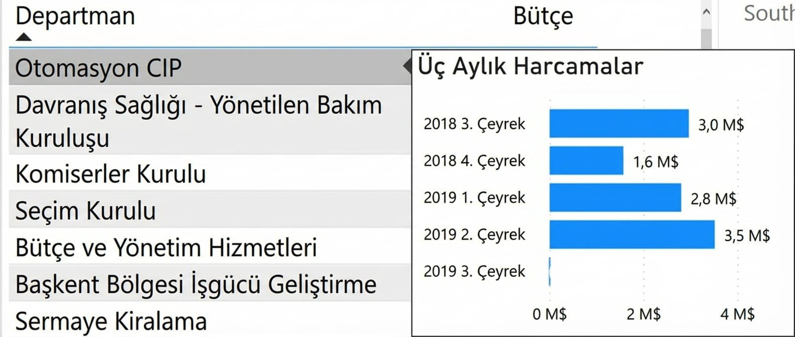 Özel araç ipucu örneği