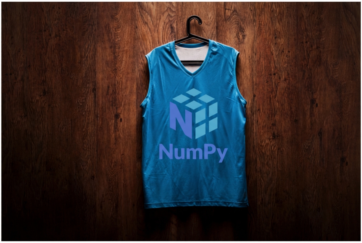 NumPy logosu olan bir spor forması