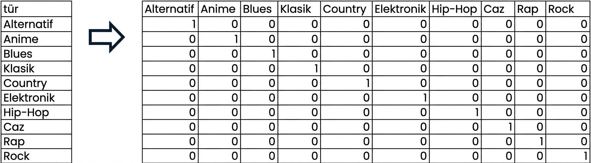 Tür değerleri, sütun adları ve 1 ile 0'lardan oluşan ızgara; 1 şarkının o türde olduğunu, 0 olmadığını gösterir